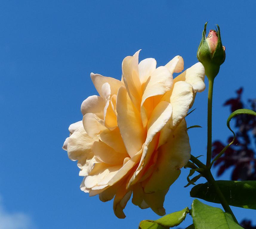 Bed & Breakfast E48 Brugge